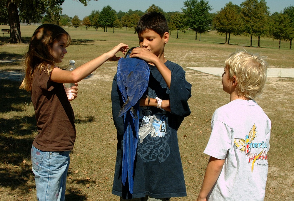 (60) Dscf0124.jpg   (1000x685)   377 Kb                                    Click to display next picture