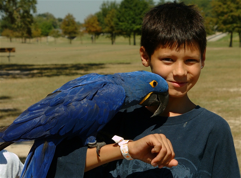 (61) Dscf0126.jpg   (1000x738)   291 Kb                                    Click to display next picture