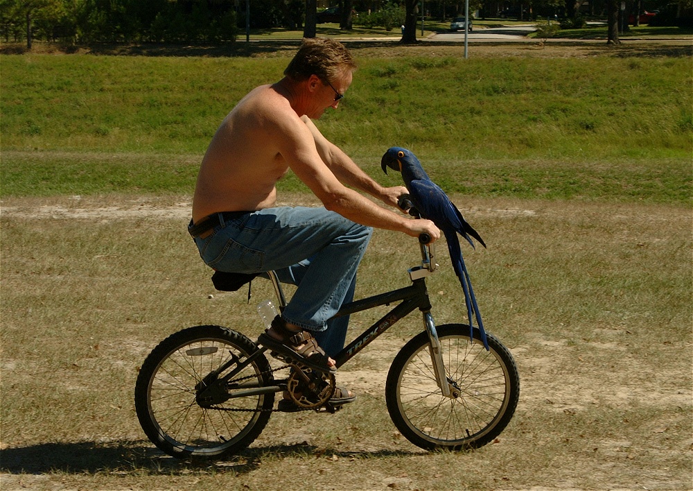 (63) Dscf0133.jpg   (1000x708)   375 Kb                                    Click to display next picture