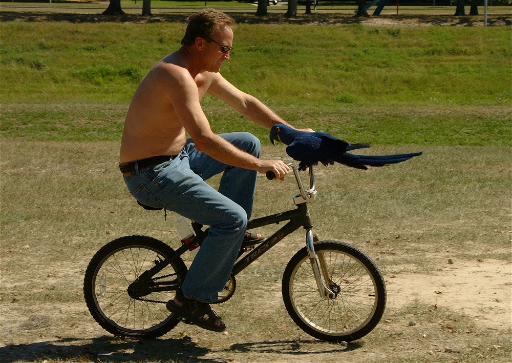 (64) Dscf0134.jpg   (1000x708)   374 Kb                                    Click to display next picture