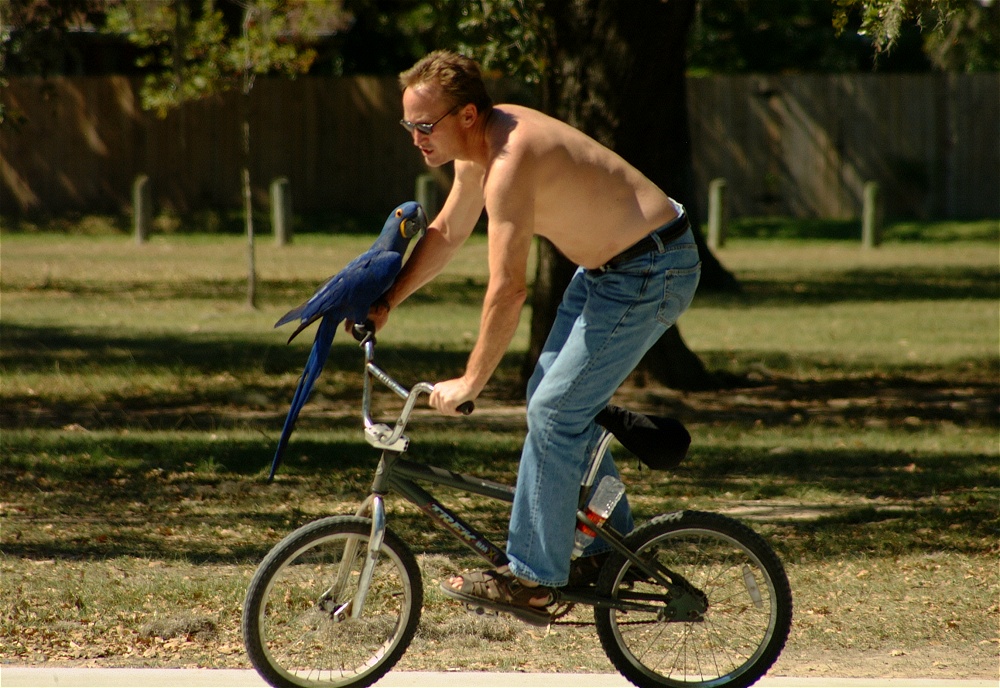 (65) Dscf0139.jpg   (1000x688)   304 Kb                                    Click to display next picture