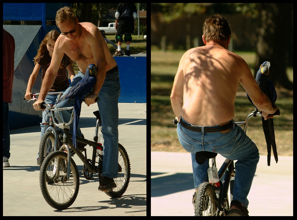 (66) bubba montage.jpg   (1000x740)   301 Kb                                    Click to display next picture