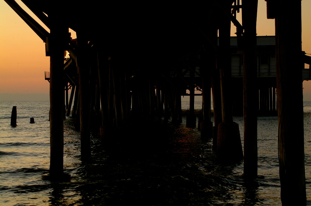 (09) Dscf0087.jpg   (1000x663)   158 Kb                                    Click to display next picture