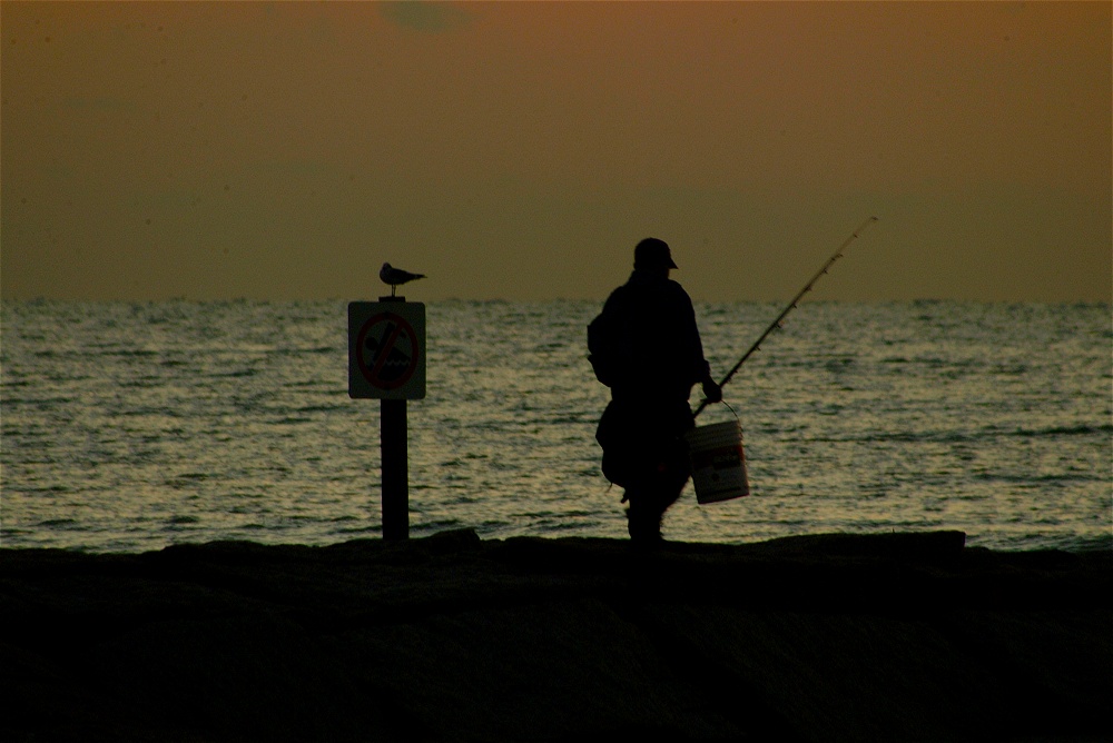 (13) Dscf0092.jpg   (1000x668)   188 Kb                                    Click to display next picture