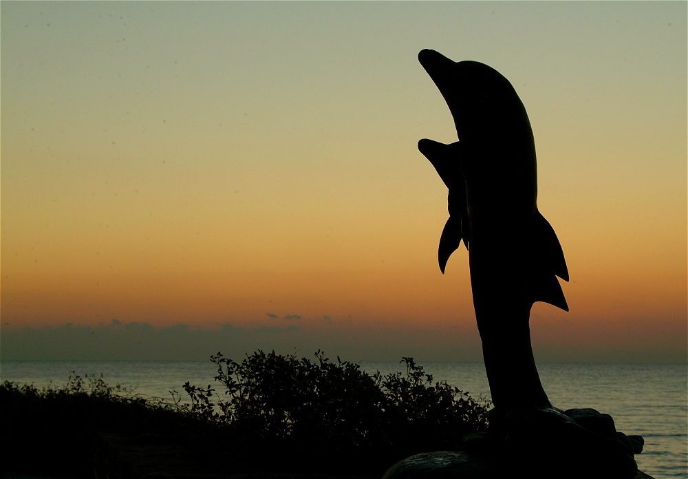 (16) Dscf0096.jpg   (1000x696)   153 Kb                                    Click to display next picture