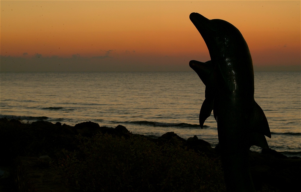 (19) Dscf0099.jpg   (1000x638)   163 Kb                                    Click to display next picture