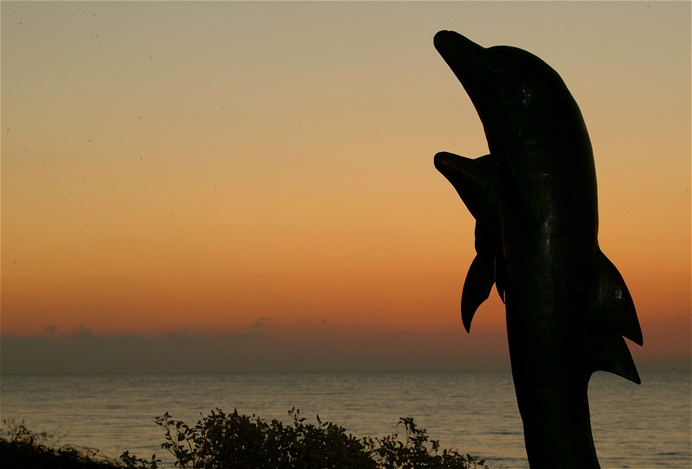 (20) Dscf0100.jpg   (1000x678)   161 Kb                                    Click to display next picture