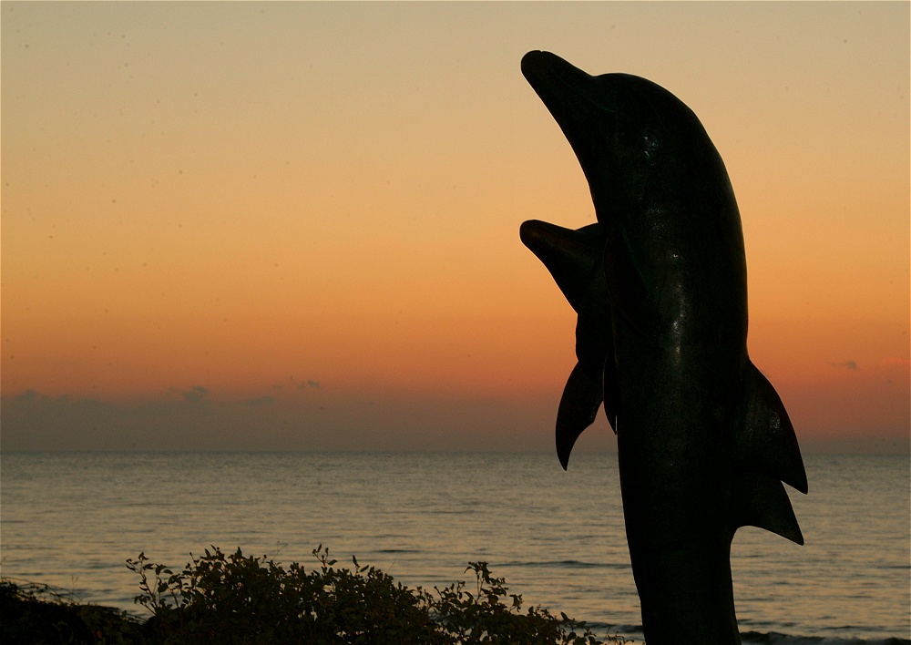 (23) Dscf0103.jpg   (1000x708)   178 Kb                                    Click to display next picture