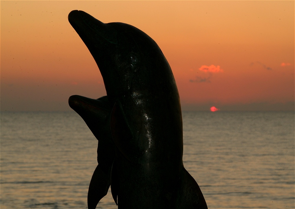 (27) Dscf0107.jpg   (1000x708)   162 Kb                                    Click to display next picture