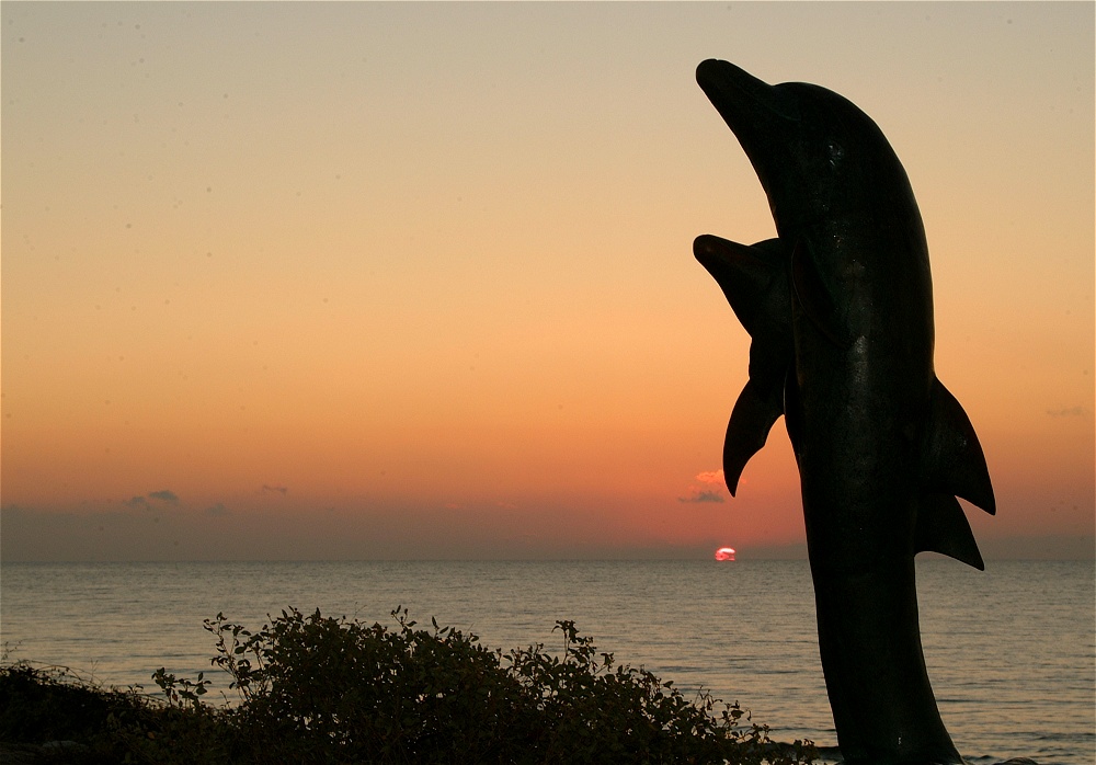 (28) Dscf0108.jpg   (1000x698)   188 Kb                                    Click to display next picture