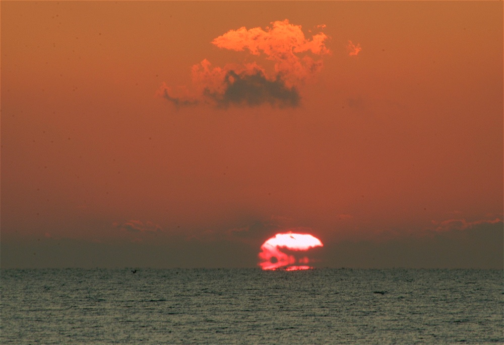 (29) Dscf0109.jpg   (1000x686)   181 Kb                                    Click to display next picture