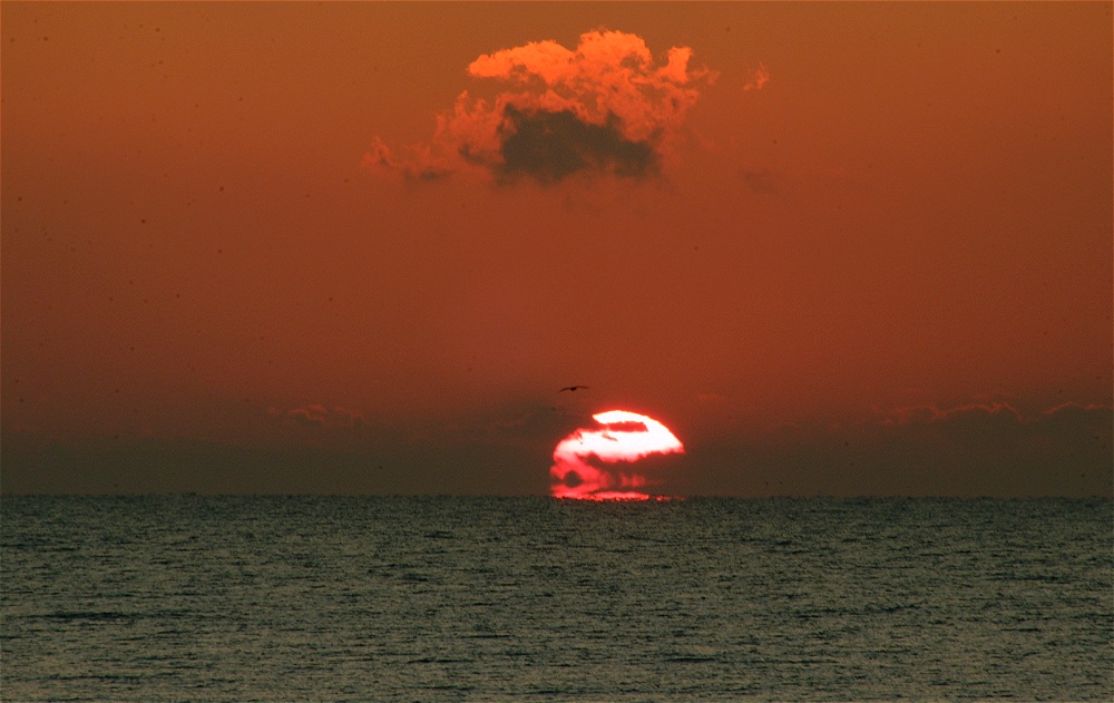 (30) Dscf0110.jpg   (1000x631)   198 Kb                                    Click to display next picture