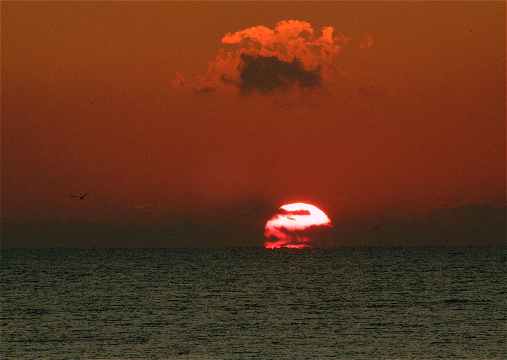 (31) Dscf0111.jpg   (1000x710)   238 Kb                                    Click to display next picture