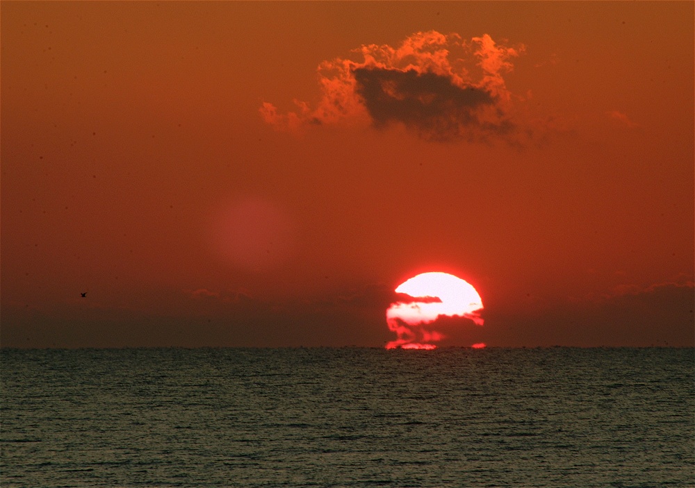 (32) Dscf0113.jpg   (1000x703)   221 Kb                                    Click to display next picture