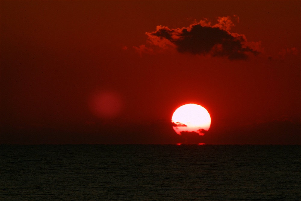 (35) Dscf0117.jpg   (1000x666)   163 Kb                                    Click to display next picture