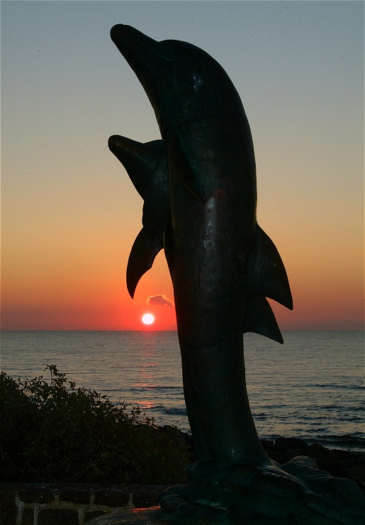 (39) Dscf0121.jpg   (515x740)   115 Kb                                    Click to display next picture