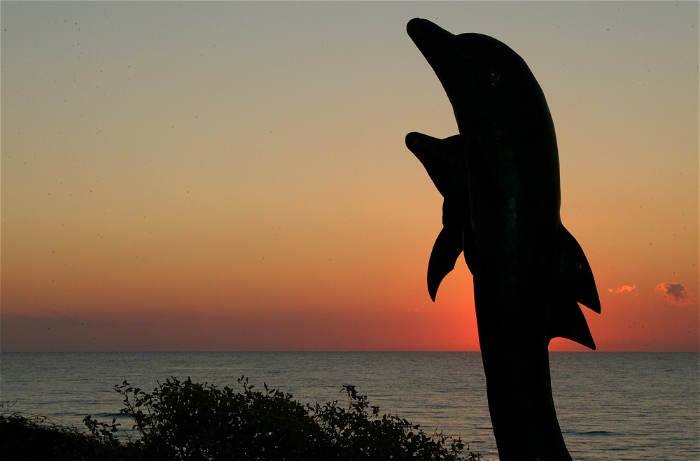 (41) Dscf0123.jpg   (1000x659)   173 Kb                                    Click to display next picture