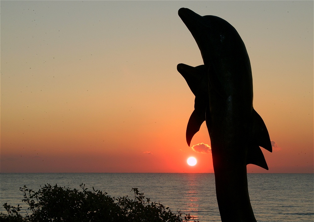 (42) Dscf0124.jpg   (1000x709)   184 Kb                                    Click to display next picture