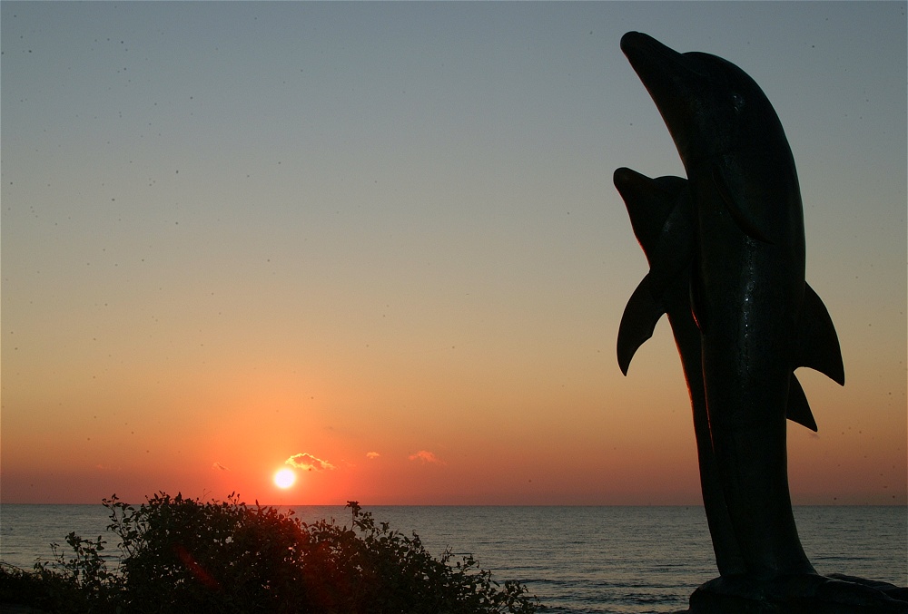 (46) Dscf0128.jpg   (1000x677)   166 Kb                                    Click to display next picture