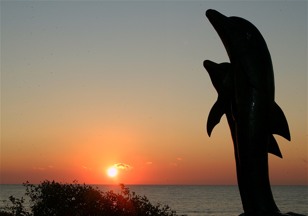 (47) Dscf0129.jpg   (1000x703)   175 Kb                                    Click to display next picture