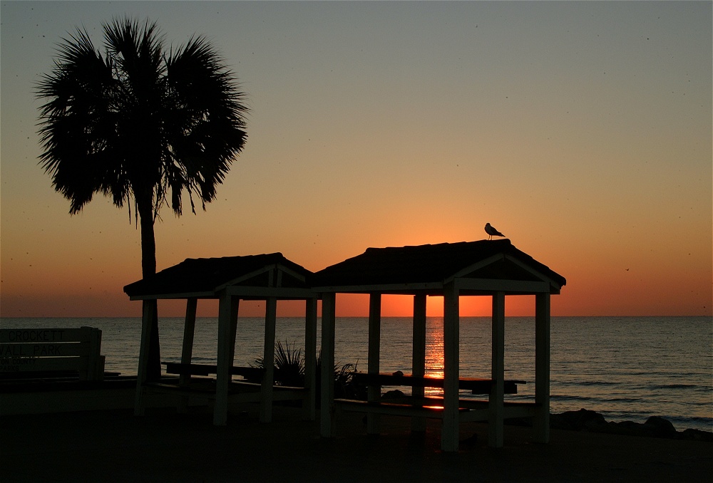 (48) Dscf0131.jpg   (1000x678)   186 Kb                                    Click to display next picture