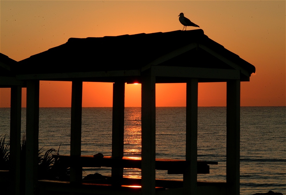 (50) Dscf0133.jpg   (1000x682)   192 Kb                                    Click to display next picture