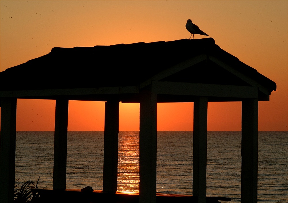 (51) Dscf0134.jpg   (1000x704)   194 Kb                                    Click to display next picture