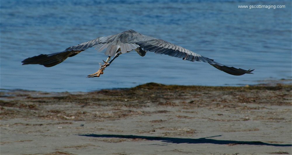 (06) Dscf2646.jpg   (1000x532)   185 Kb                                    Click to display next picture