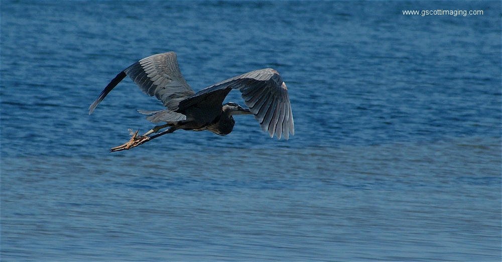 (08) Dscf2648.jpg   (1000x522)   187 Kb                                    Click to display next picture