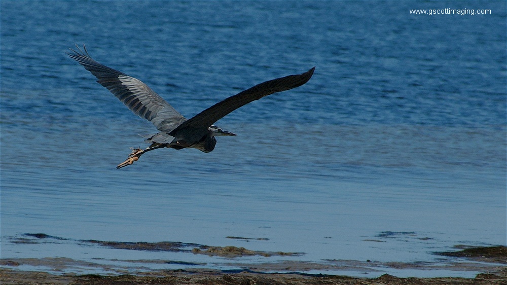 (09) Dscf2649.jpg   (1000x562)   199 Kb                                    Click to display next picture