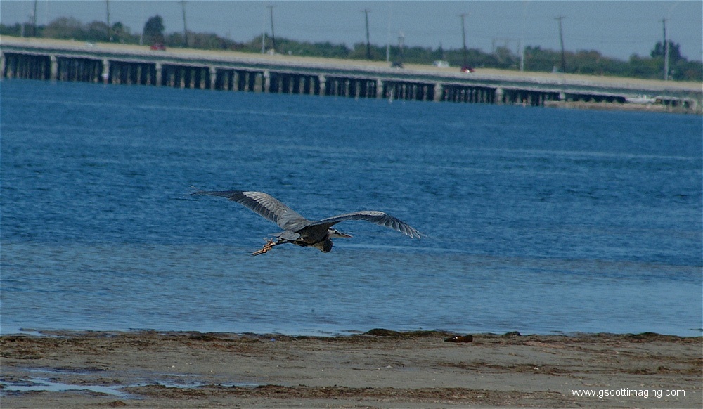 (10) Dscf2651.jpg   (1000x582)   226 Kb                                    Click to display next picture