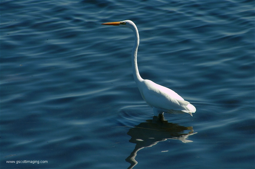 (18) Dscf2723.jpg   (1000x665)   199 Kb                                    Click to display next picture