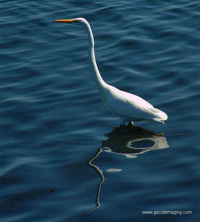 (19) Dscf2725.jpg   (649x720)   144 Kb                                    Click to display next picture