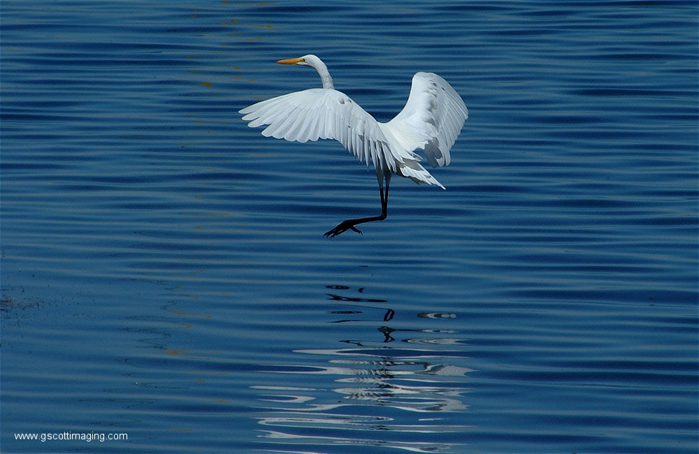 (24) Dscf2732.jpg   (1000x650)   236 Kb                                    Click to display next picture