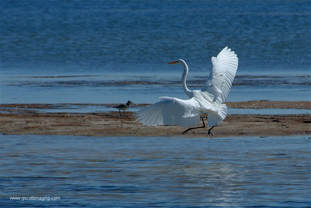 (27) Dscf2735.jpg   (1000x668)   248 Kb                                    Click to display next picture