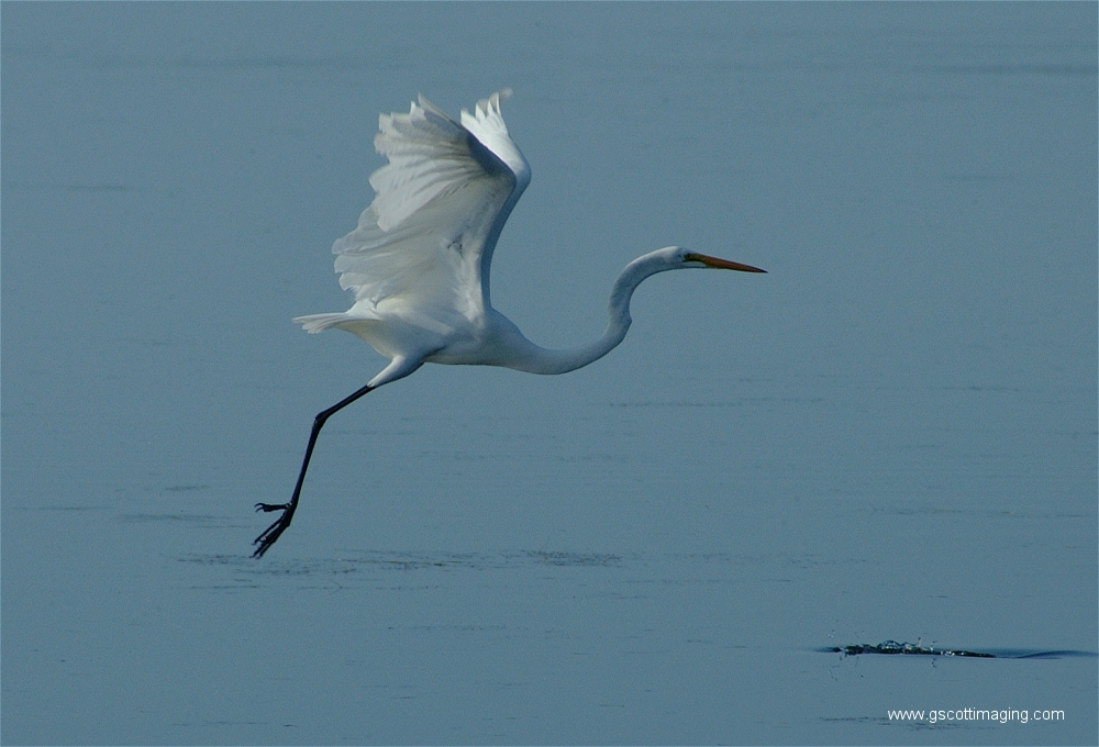 (01) Dscf2878.jpg   (1000x680)   381 Kb                                    Click to display next picture