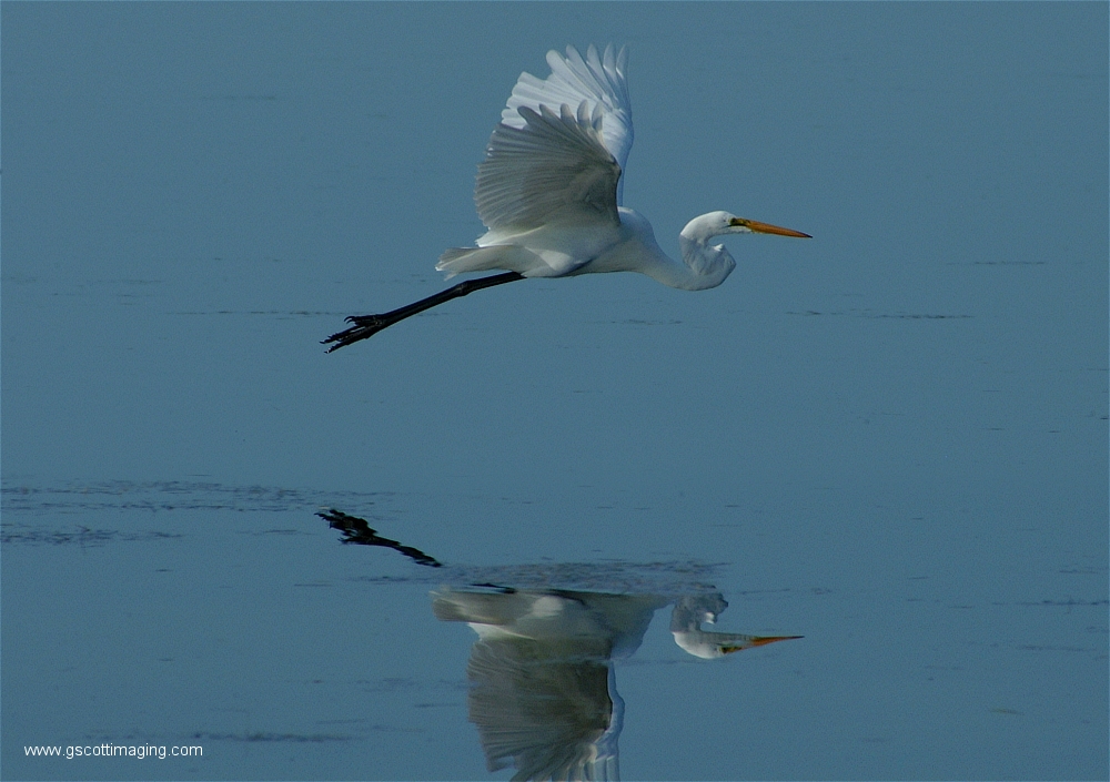 (02) Dscf2879.jpg   (1000x705)   386 Kb                                    Click to display next picture