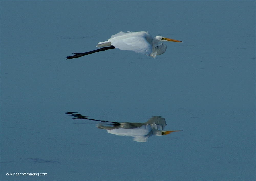 (03) Dscf2880.jpg   (1000x707)   384 Kb                                    Click to display next picture