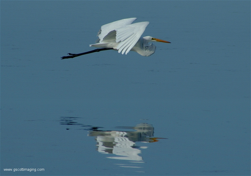 (04) Dscf2881.jpg   (1000x702)   376 Kb                                    Click to display next picture