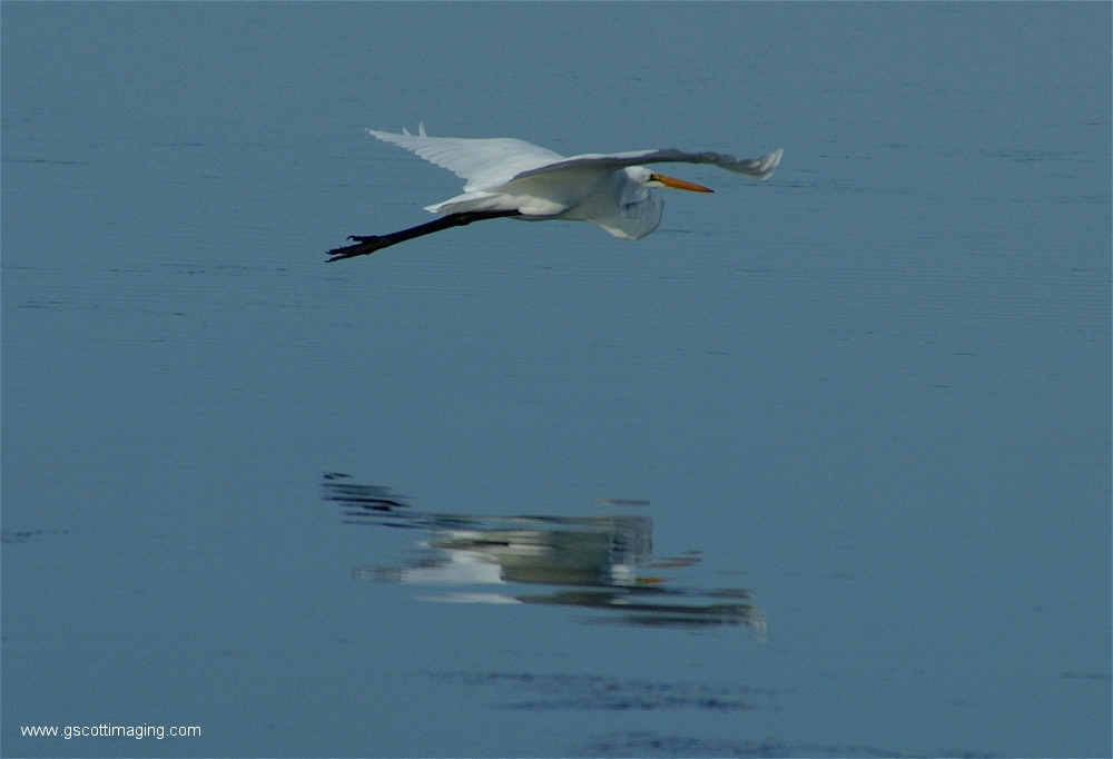 (05) Dscf2882.jpg   (1000x682)   378 Kb                                    Click to display next picture