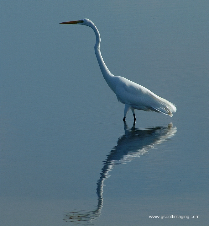 (06) Dscf2931.jpg   (667x720)   268 Kb                                    Click to display next picture