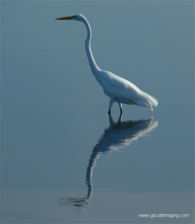 (07) Dscf2932.jpg   (626x720)   242 Kb                                    Click to display next picture