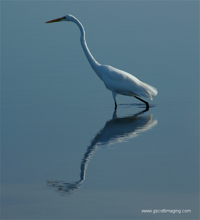 (09) Dscf2934.jpg   (655x720)   256 Kb                                    Click to display next picture