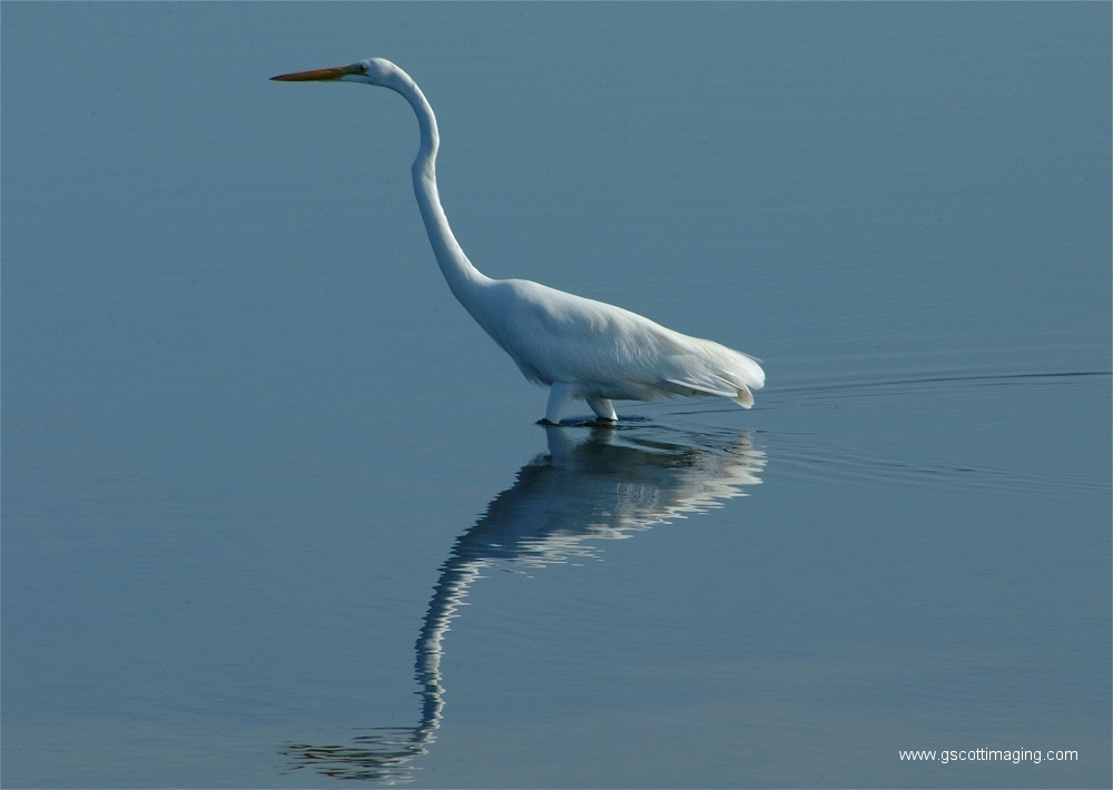 (10) Dscf2935.jpg   (1000x710)   387 Kb                                    Click to display next picture