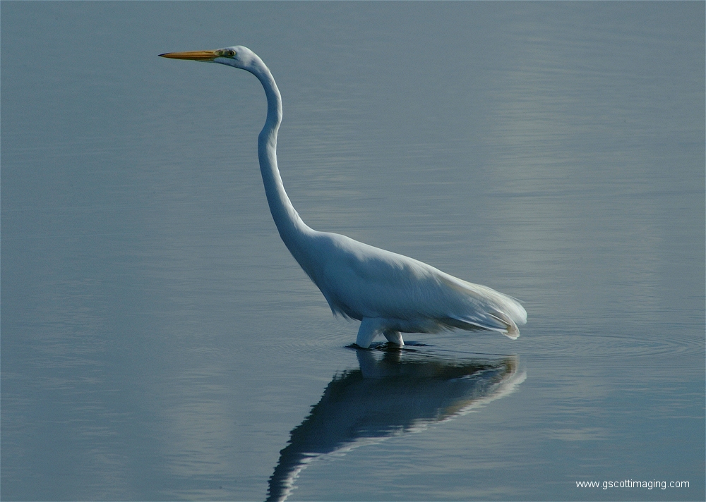 (11) Dscf2936.jpg   (1000x712)   407 Kb                                    Click to display next picture