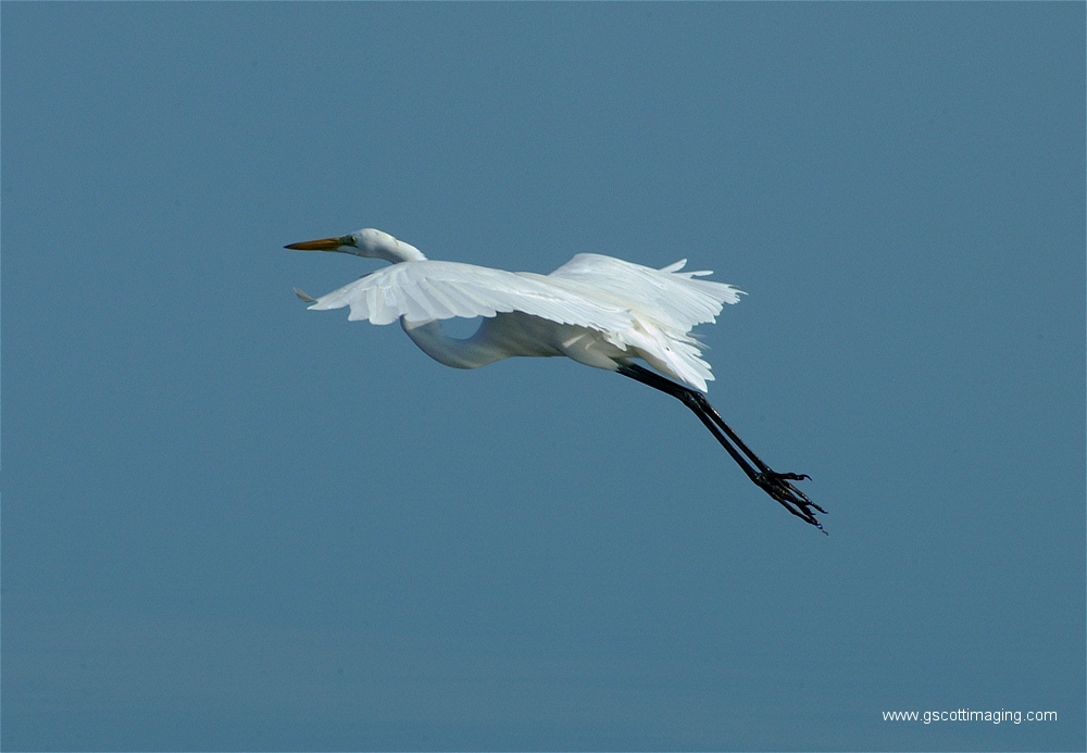 (14) Dscf2939.jpg   (1000x693)   386 Kb                                    Click to display next picture