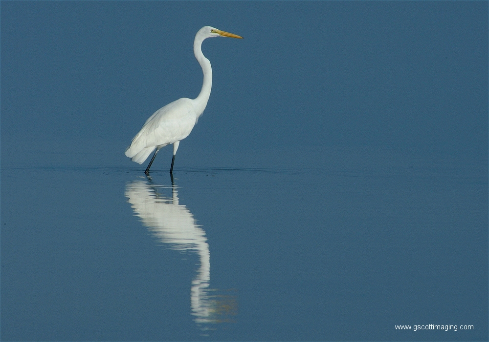 (16) Dscf2941.jpg   (1000x701)   420 Kb                                    Click to display next picture