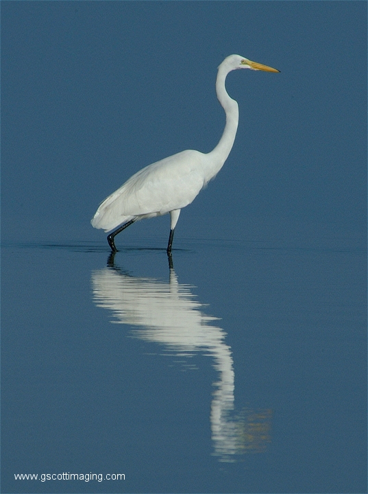 (17) Dscf2942.jpg   (537x720)   230 Kb                                    Click to display next picture