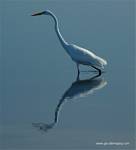 (09) Dscf2934.jpg    (655x720)    256 KB                              click to see enlarged picture