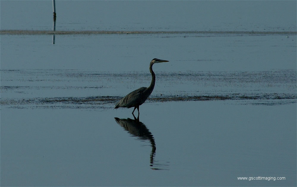 (07) Dscf2892.jpg   (1000x628)   366 Kb                                    Click to display next picture